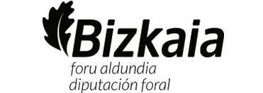 dipu bizkaia